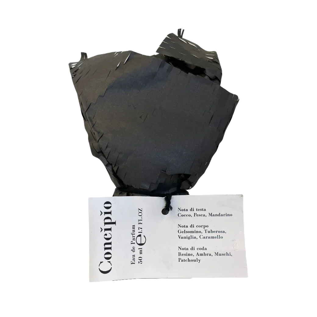 Concipio - Image 3
